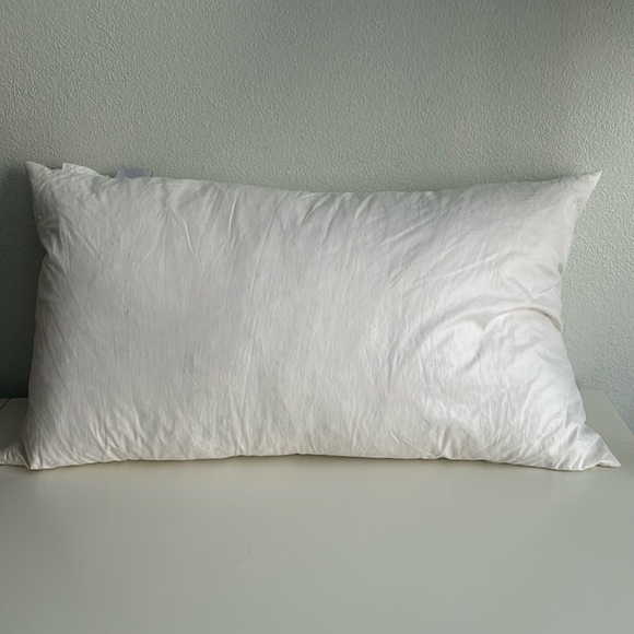 Pottery Barn Embroidered Pillow Cover + Restoration Hardware Pillow - Picture 8 of 10